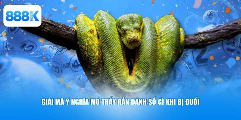 Giải mã ý nghĩa mơ thấy rắn đánh số gì khi bị đuổi
