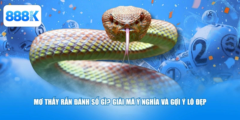 Mơ Thấy Rắn Đánh Số Gì